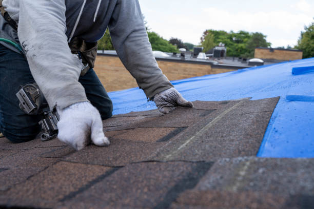Best Best Roofing Contractors  in Hudson, MI