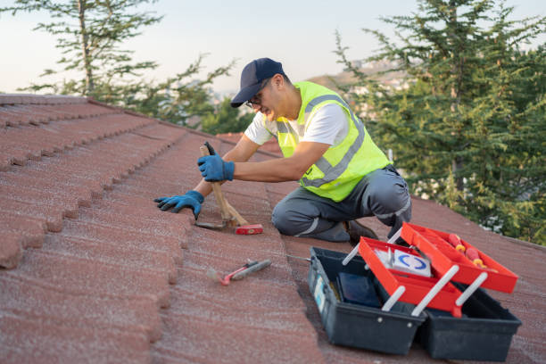 Best Affordable Roofing Company  in Hudson, MI