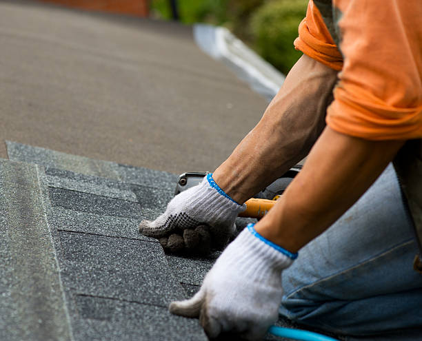 Best Sealant for Roof  in Hudson, MI