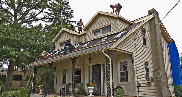 Best Storm Damage Roof Repair  in Hudson, MI