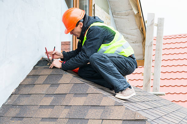 Best Commercial Roofing Services  in Hudson, MI