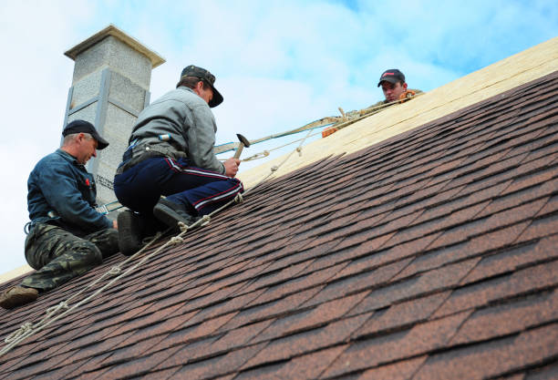 Best Roof Leak Repair  in Hudson, MI